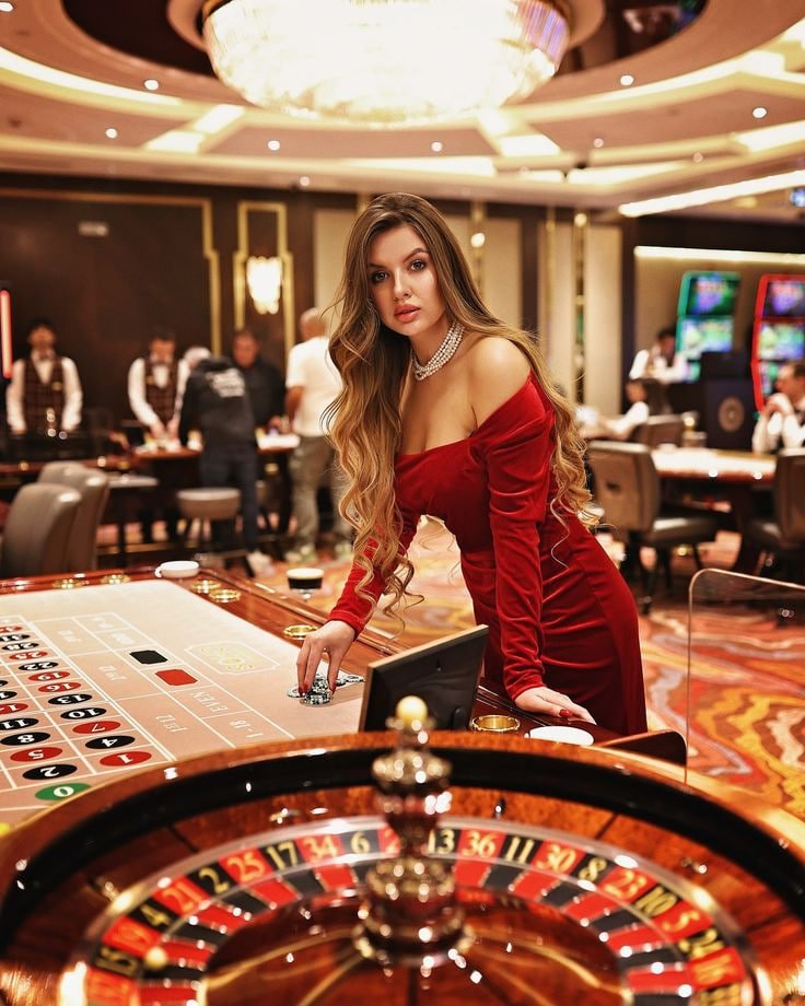 qrbet3